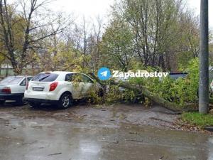 В Ростове на Западном огромная ветка упала на автомобиль