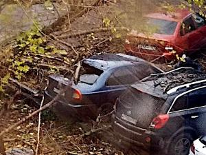 В Ростове упавшая ветка на улице Украинской повредила стекло автомобиля