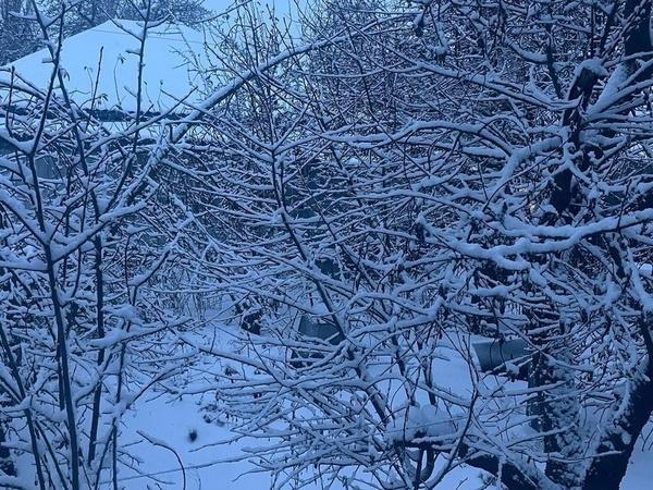 На Ростовскую область обрушился снегопад