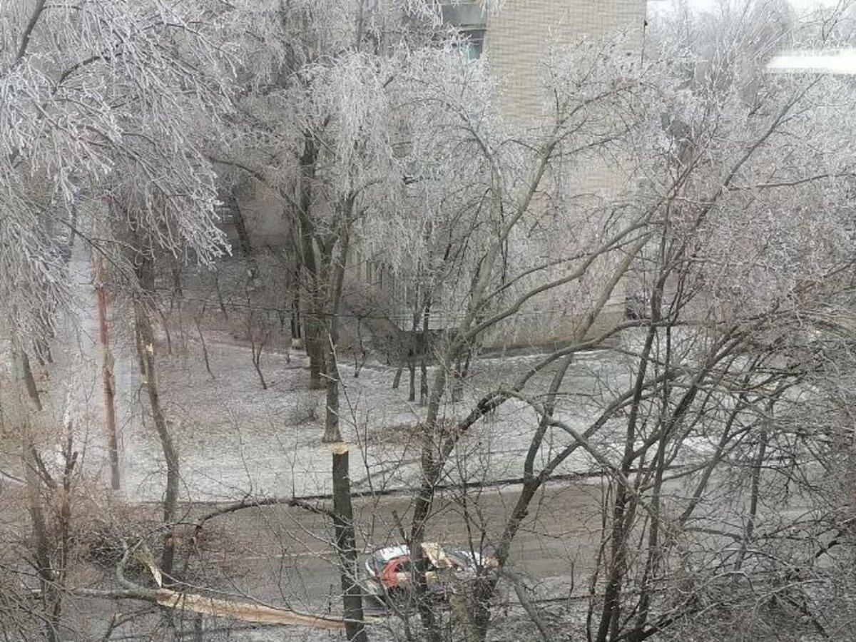 В Ростове на Туполева упавшее дерево перегородило дорогу