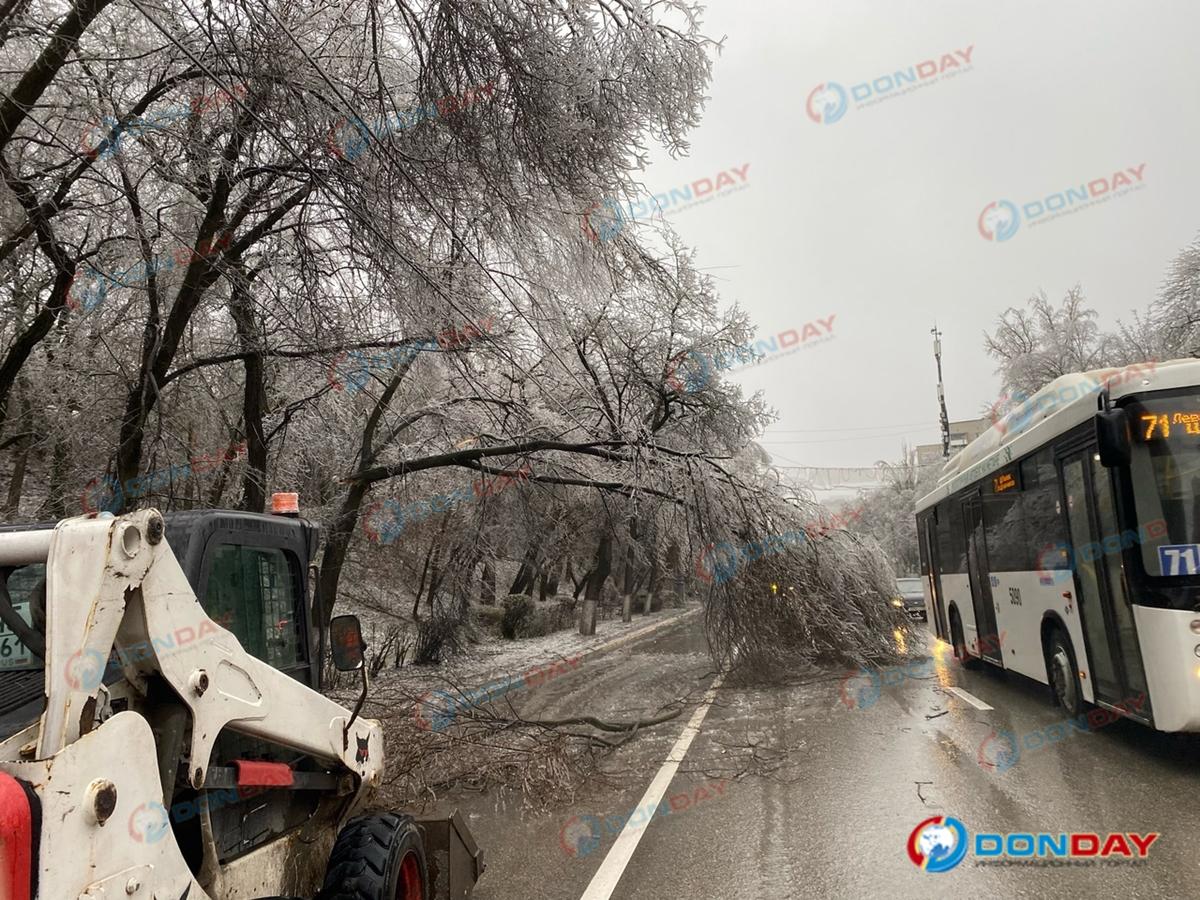 На Западном в Ростове ветки деревьев под тяжестью льда упали на дорогу » DonDay - новости Ростова-на-Дону. Происшествия, события, новости бизнеса, политики, культуры и спорта.