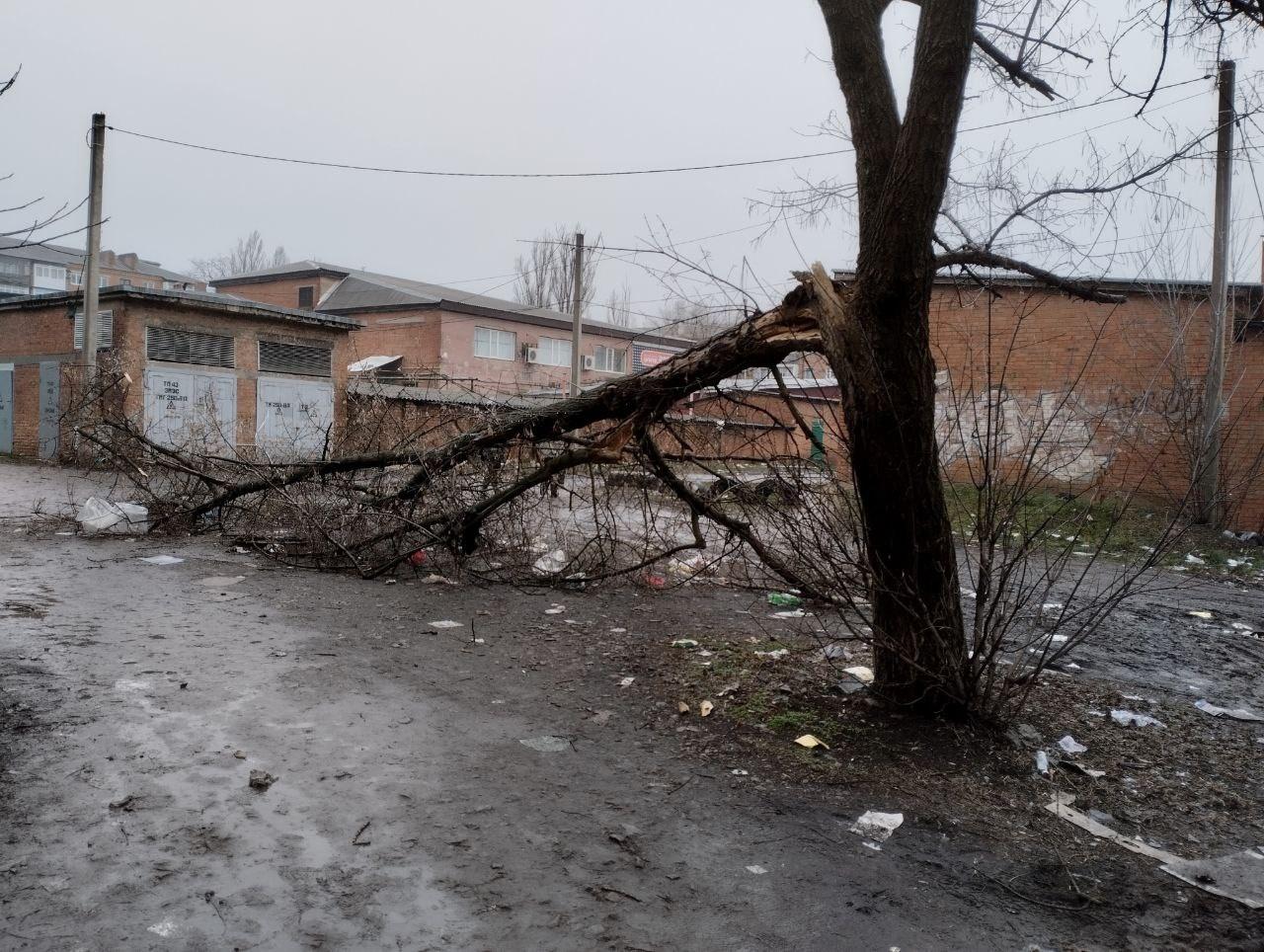 В Гуково упавшая ветка перекрыла проезд во двор жилого дома » DonDay -  новости Ростова-на-Дону. Происшествия, события, новости бизнеса, политики,  культуры и спорта.