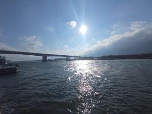 Уровень воды в реке Дон поднимется до опасных отметок