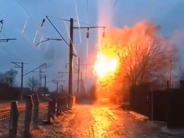 В Ростове из-за наледи от искрящих проводов загорелись деревья