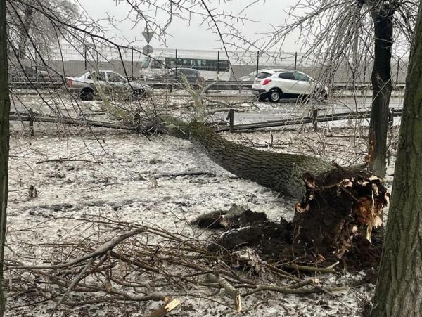 На въезде в Ростов из-за ДТП и упавшего дерева образовалась пробка