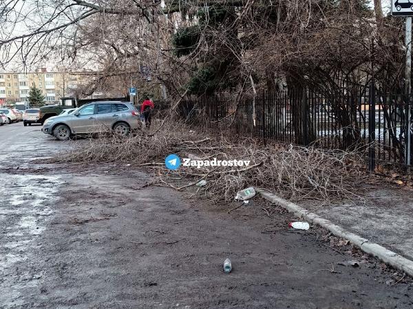 В Ростове на Литвинова упавшие на тротуар ветки перегородили дорогу пешеходам