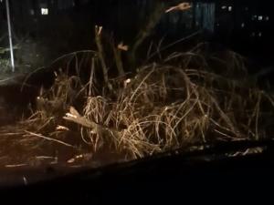 GISMETEO: Шторм сорвал крышу с двух домов на Кубани: фото - Природа | Новости погоды.