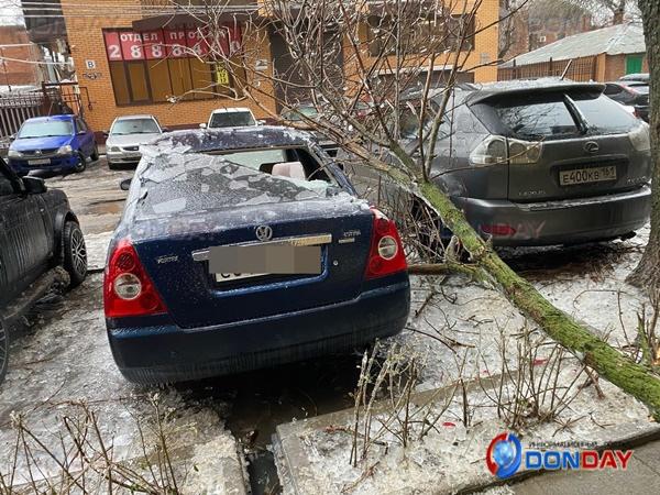 В центре Ростова упавшая ветка пробила заднее стекло автомобиля