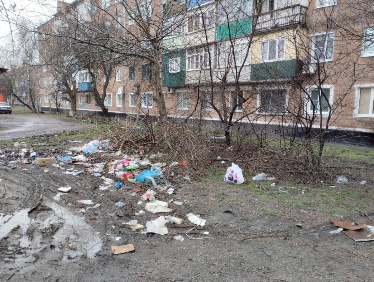 В Гуково упавшая ветка перекрыла проезд во двор жилого дома » DonDay -  новости Ростова-на-Дону. Происшествия, события, новости бизнеса, политики,  культуры и спорта.