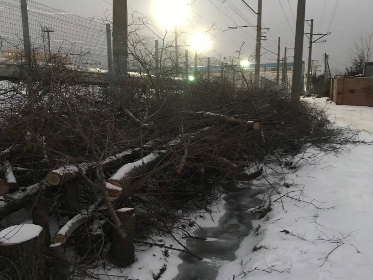В Батайске неизвестные бросили спиленные ветки в водоотводный канал
