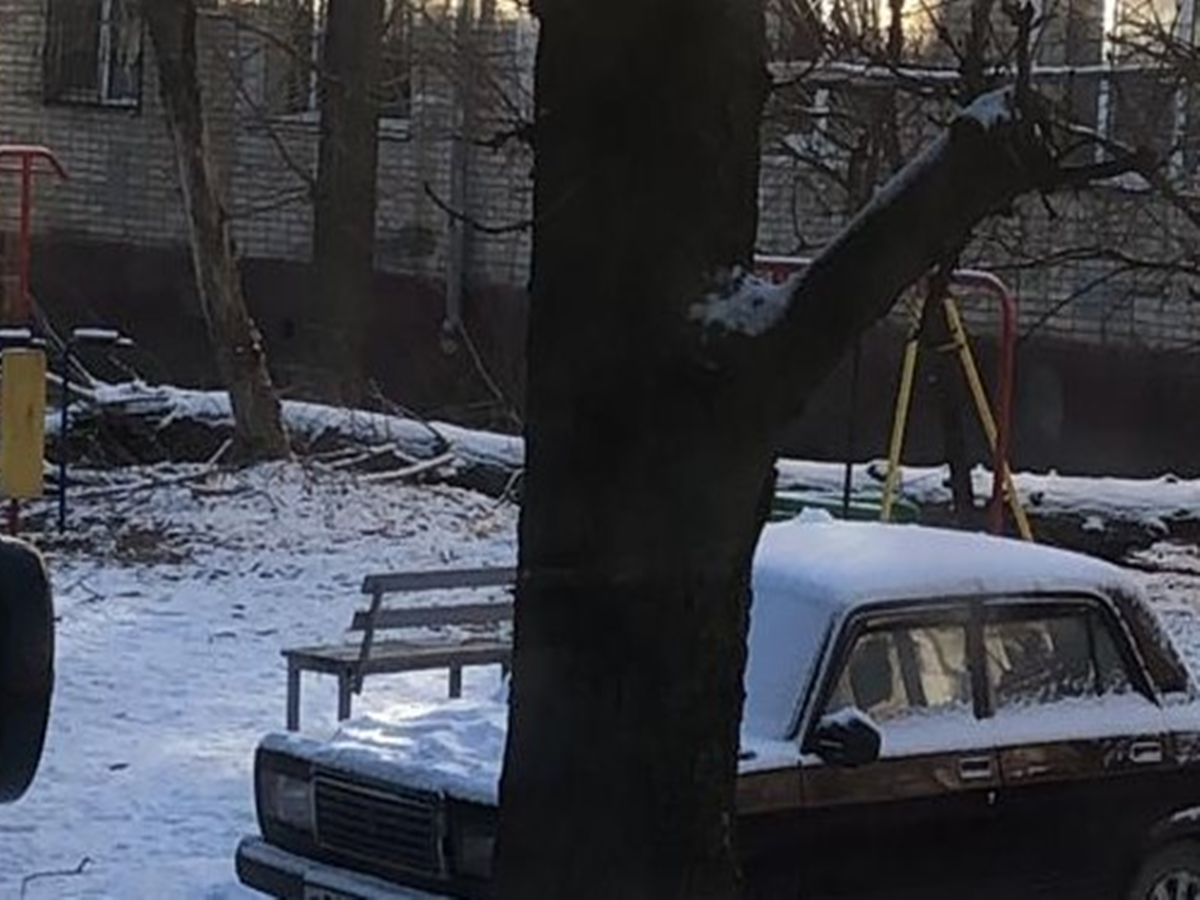 падение дерева на дом