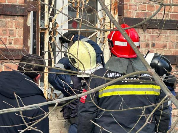 В Ростове началась операция по спасению животных из дома на Нариманова