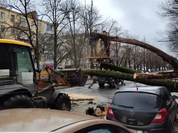 В Ростове убрали с дороги упавший на легковушку тополь