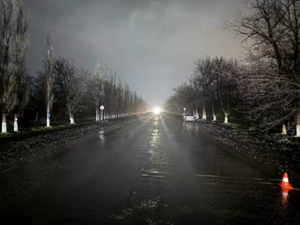 Под Новочеркасском 58-летний мужчина попал под колеса авто