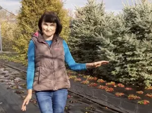 Победительница проекта «Четыре дачи» поделилась секретами большого урожая малины