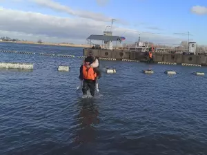Пострадавший во время сильного шторма центральный пляж Таганрога восстановят