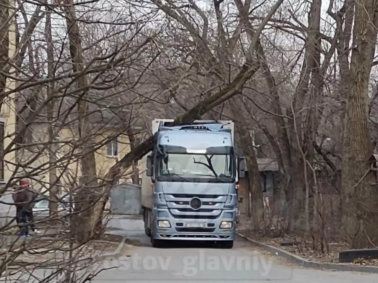 В Ростове из-за сильного ветра сухое дерево упало на фуру » DonDay -  новости Ростова-на-Дону. Происшествия, события, новости бизнеса, политики,  культуры и спорта.