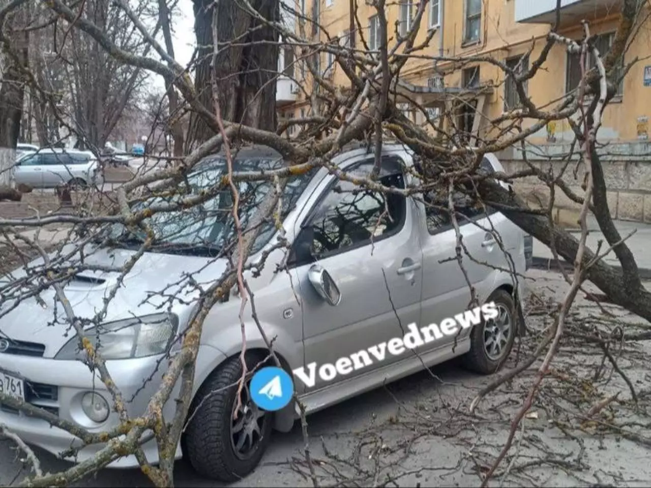 В Ростове на Таганрогской дерево упало на машину » DonDay - новости  Ростова-на-Дону. Происшествия, события, новости бизнеса, политики, культуры  и спорта.