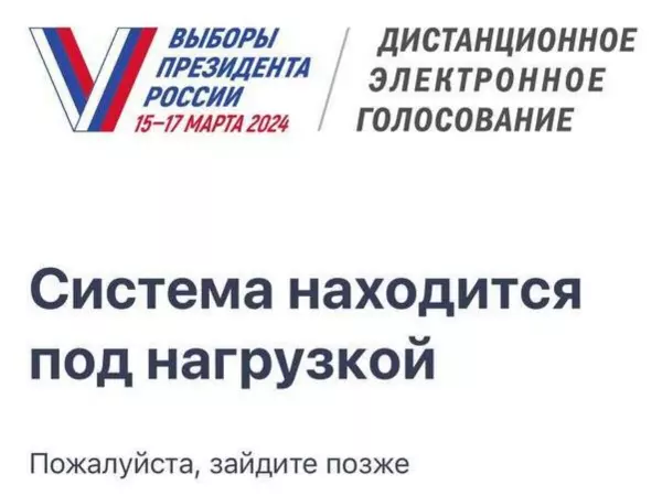 Жители Ростовской области испытывают трудности с онлайн-голосованием на выборах