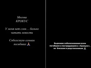 Знаменитые ростовчане выразили соболезнования родным погибших при теракте