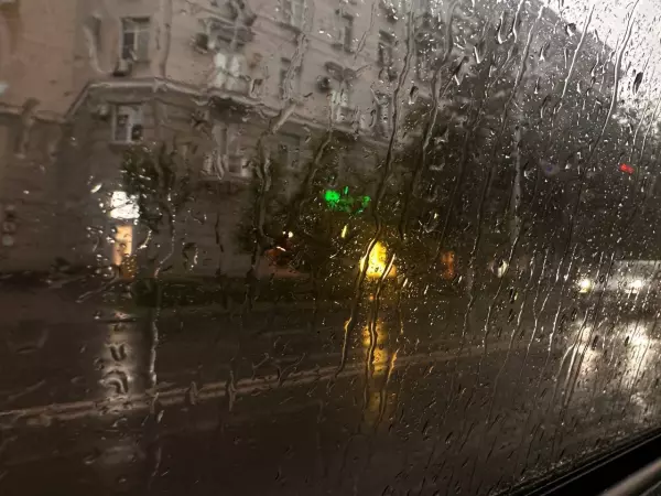 На выходных в Ростовской области обещают дождь и потепление