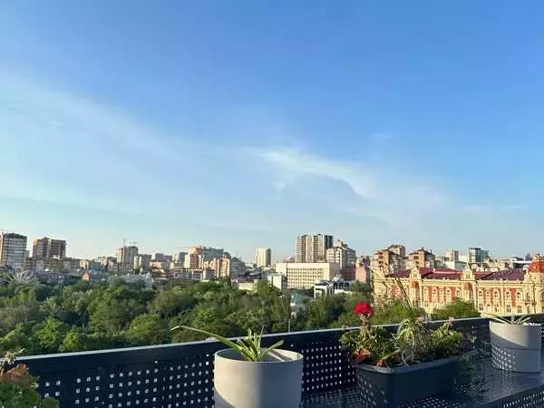 В Ростове на выходных потеплеет до +20 градусов