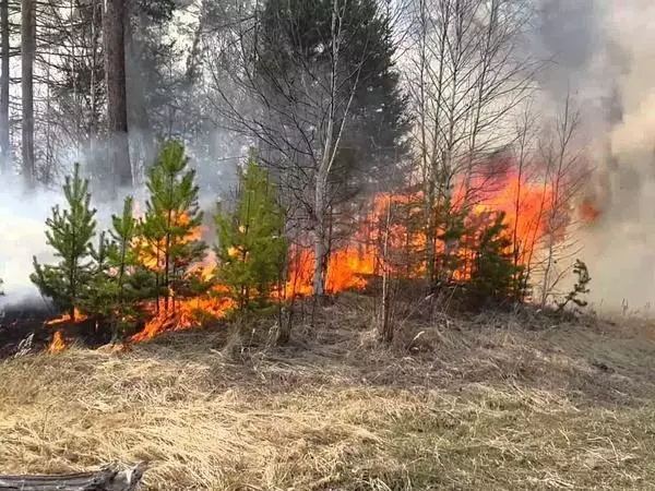 В Ростовской области с 26 апреля объявили о чрезвычайной пожароопасности