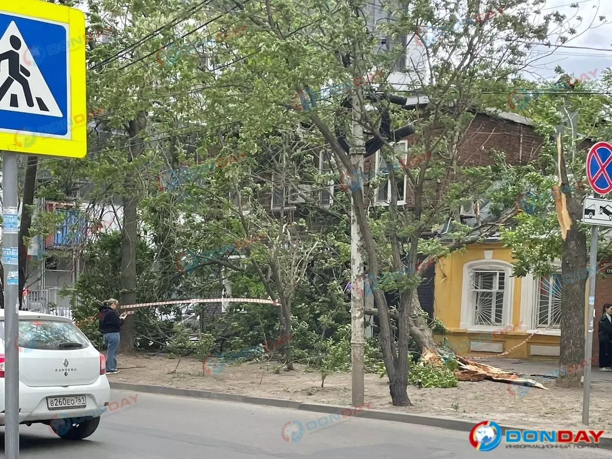 В Ростове на Журавлева огромное дерево упало на дом