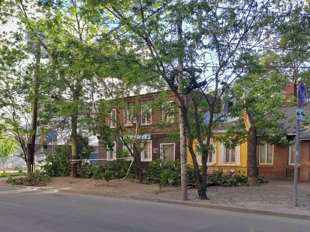 В Ростове убрали упавшее на жилой дом дерево на Журавлева » DonDay -  новости Ростова-на-Дону. Происшествия, события, новости бизнеса, политики,  культуры и спорта.