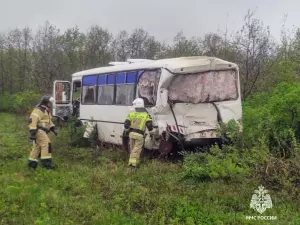 В Ростовской области в ДТП с участием автобуса и фуры пострадала женщина