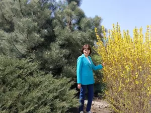 Победительница проекта «Четыре дачи» рассказала, что делать с тюльпанами после цветения