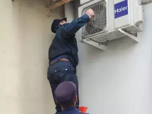 В Ростовской области котенка спасли из ловушки с помощью видео с мяуканьем кошки