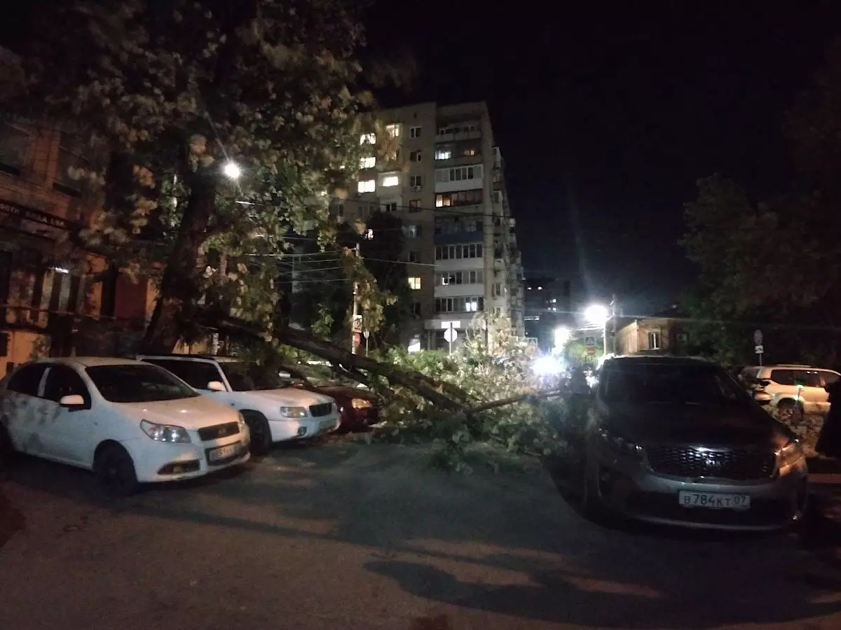 В центре Ростова старое дерево рухнуло на припаркованные авто