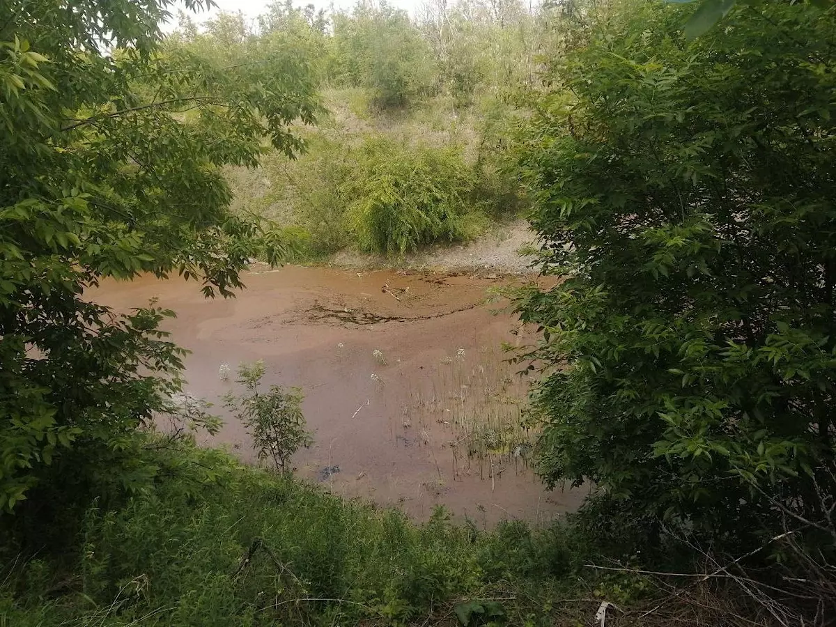 В Красном Сулине местную балку заливает нечистотами