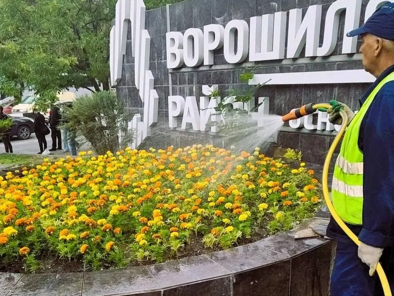 Алексей Логвиненко: К середине июня Ростов украсят около 960 тысяч штук летних цветов