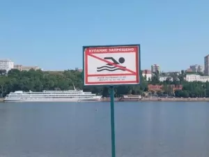 В Ростовской области более 50 человек утонули во время купального сезона
