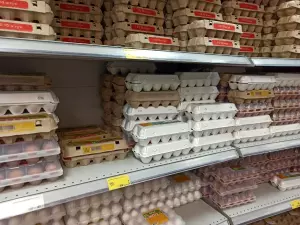Екатеринбуржцы лижут яйца, чтобы получить компенсацию в миллион рублей