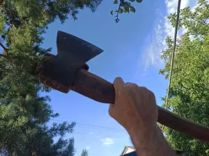 В Ростовской области двоих мужчин жестоко убили, расчленили, а останки сожгли