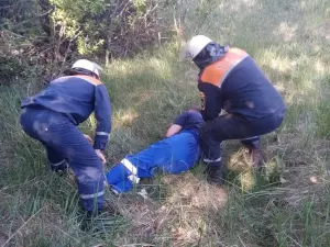 В Ростовской области водитель легковушки вылетел в кювет