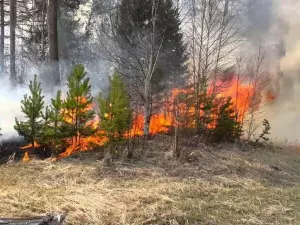 Из-за пожароопасности в Ростовской области объявили штормовое предупреждение