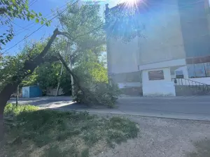 Последствия ураганного ветра в Ростове-на-Дону 25 мая