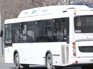 С 25 мая запустят регулярный автобусный рейс из Ростова в Стамбул
