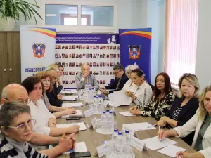 В Общественной палате Ростовской области прошел круглый стол, посвященный вопросам психического здоровья