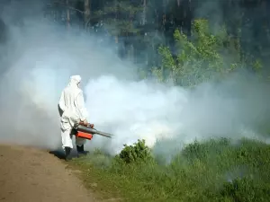 Алексей Логвиненко: В Ростове увеличивается площадь противоклещевой обработки