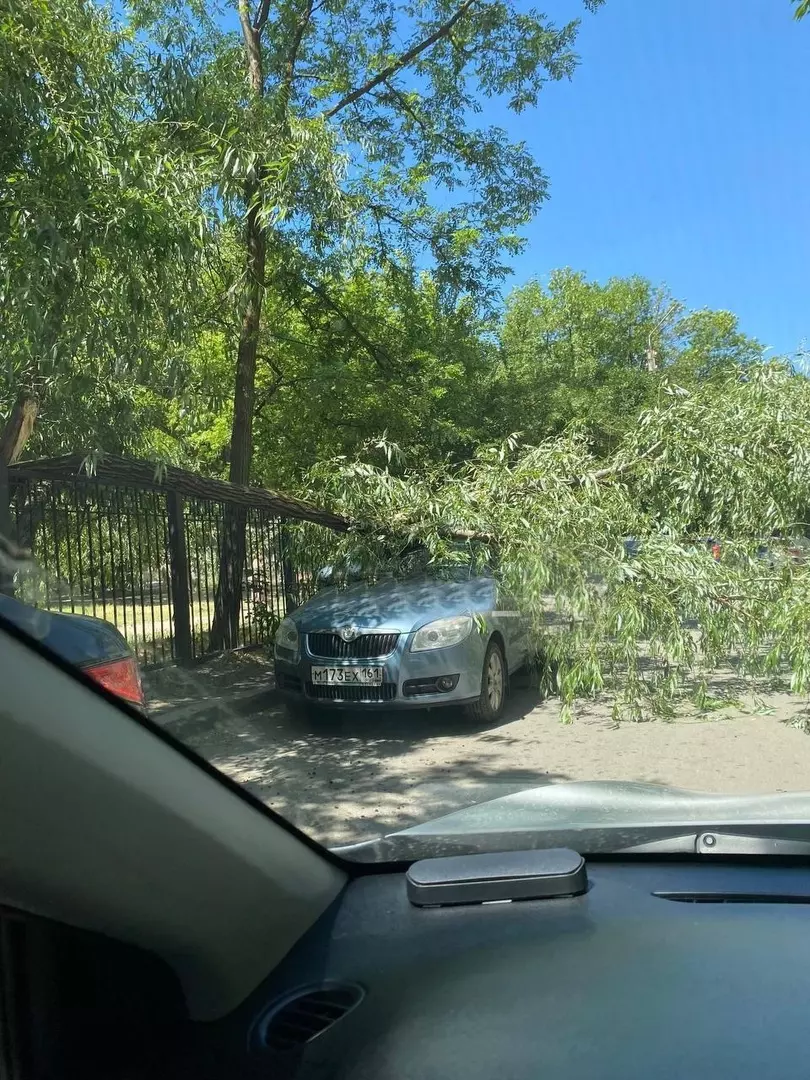 Последствия ураганного ветра в Ростове-на-Дону 25 мая » DonDay - новости  Ростова-на-Дону. Происшествия, события, новости бизнеса, политики, культуры  и спорта.