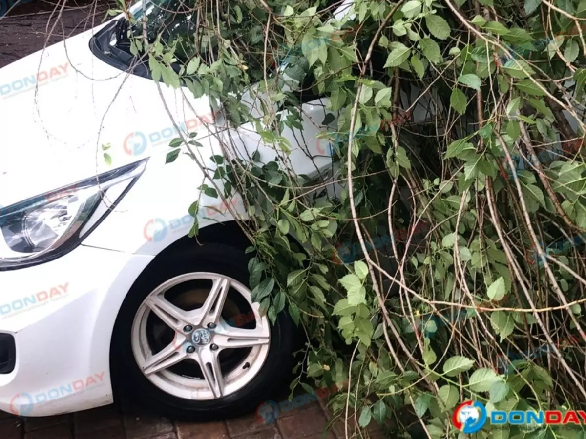 В Ростове рядом с парком Островского огромная ветка упала на автомобиль »  DonDay - новости Ростова-на-Дону. Происшествия, события, новости бизнеса,  политики, культуры и спорта.