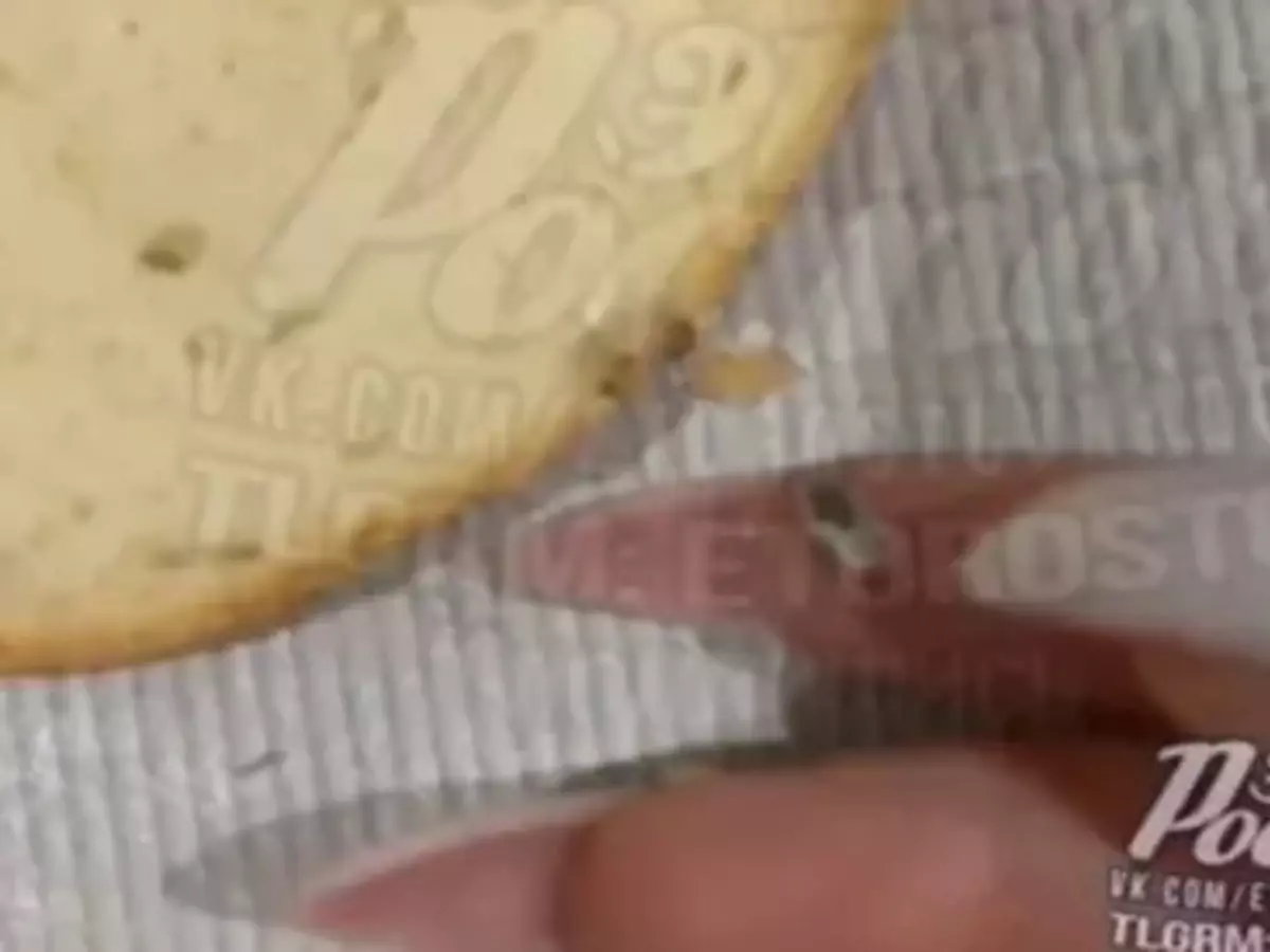 В Ростове женщина обнаружила кусок резины в хлебе » DonDay - новости ...