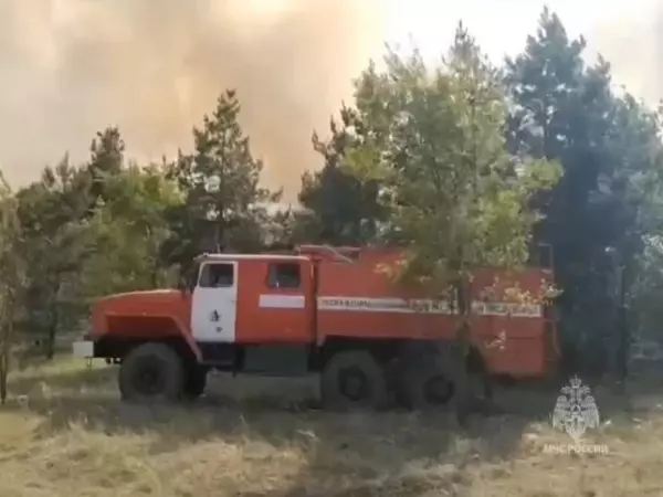 В Ростовской области снова случился крупный лесной пожар