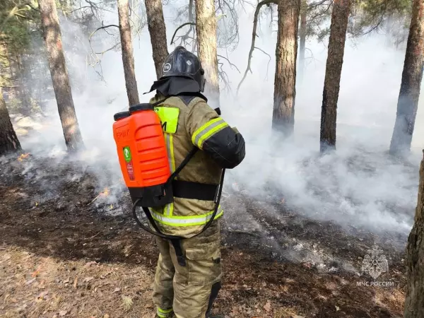 В Ростовской области ввели режим повышенной готовности из-за лесного пожара