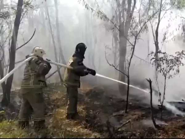 В Тарасовском районе Ростовской области вторые сутки не могут потушить лесной пожар